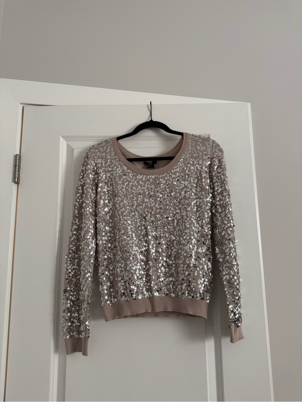 H&M Sequin Scoop Neck Sweater